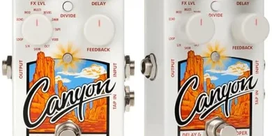 Electro-Harmonix Canyon: Delay & Loop Pedal